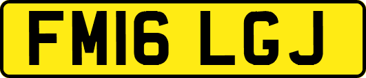 FM16LGJ