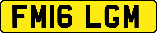 FM16LGM