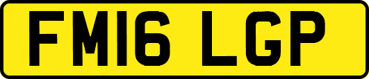 FM16LGP