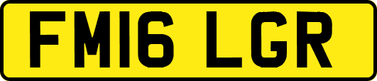 FM16LGR