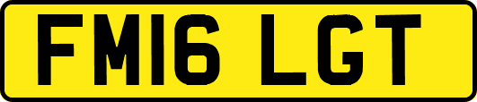 FM16LGT
