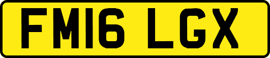 FM16LGX