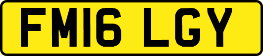 FM16LGY