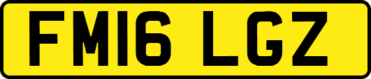 FM16LGZ