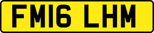 FM16LHM