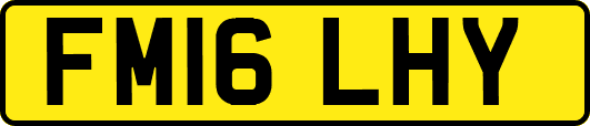 FM16LHY