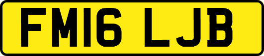 FM16LJB