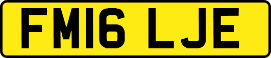 FM16LJE