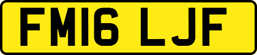 FM16LJF