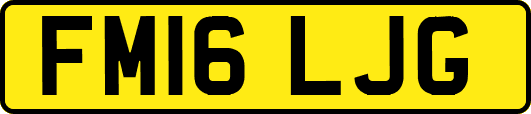 FM16LJG