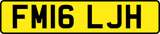 FM16LJH