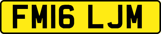 FM16LJM