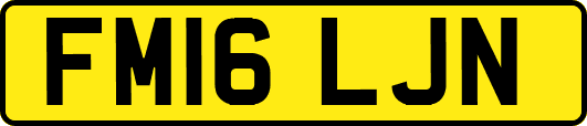FM16LJN