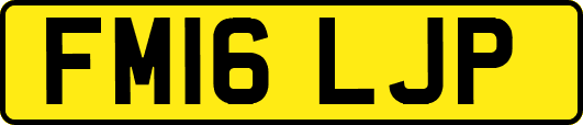 FM16LJP