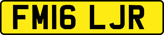 FM16LJR