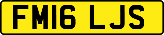 FM16LJS