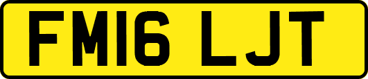 FM16LJT
