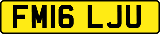 FM16LJU