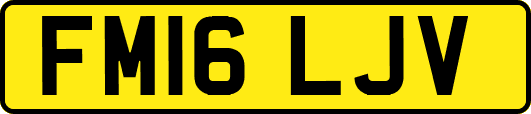 FM16LJV