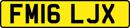 FM16LJX