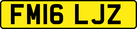 FM16LJZ