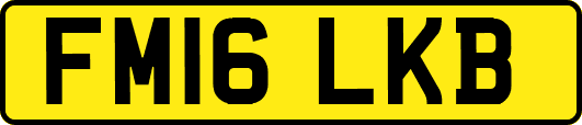 FM16LKB