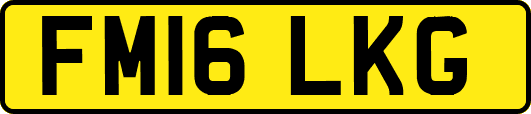 FM16LKG
