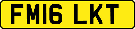 FM16LKT