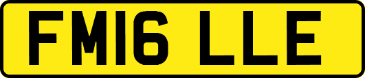 FM16LLE