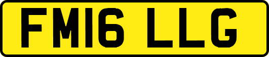 FM16LLG