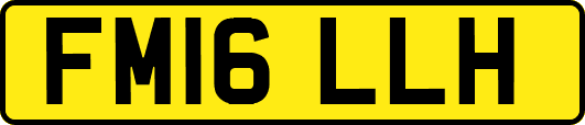 FM16LLH