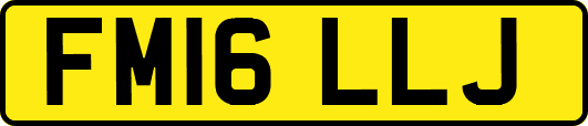 FM16LLJ