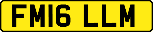 FM16LLM