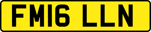 FM16LLN