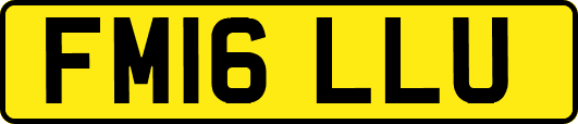 FM16LLU