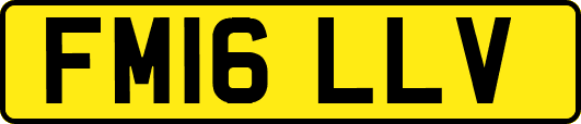 FM16LLV