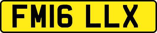 FM16LLX