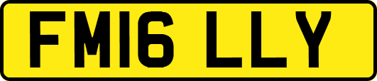 FM16LLY
