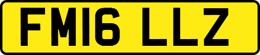 FM16LLZ