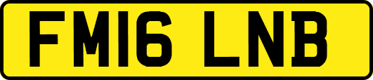 FM16LNB
