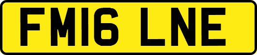 FM16LNE