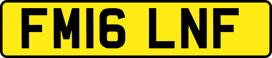 FM16LNF