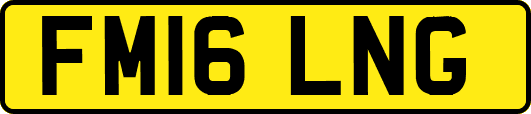 FM16LNG