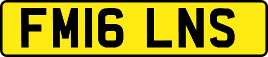 FM16LNS