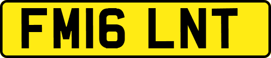 FM16LNT