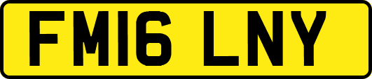 FM16LNY