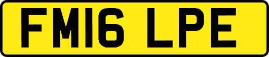 FM16LPE