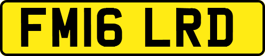 FM16LRD