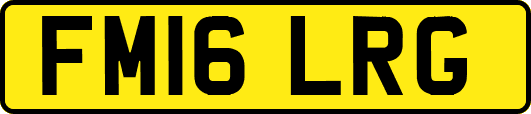 FM16LRG