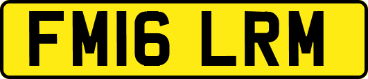 FM16LRM